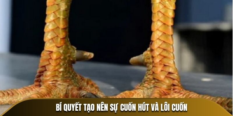 Bí quyết tạo nên sự cuốn hút và lôi cuốn