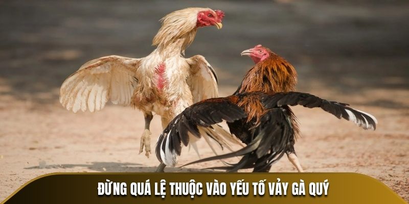 Đừng quá lệ thuộc vào yếu tố vảy gà quý
