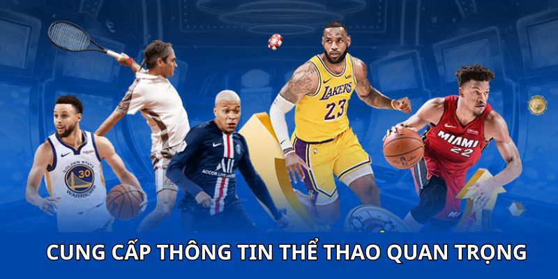 Tìm hiểu hàng loạt nội dung quan trọng liên quan đến các giải đấu