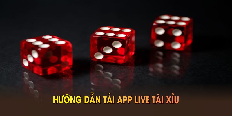 Hướng dẫn tải app live tài xỉu nhanh và an toàn
