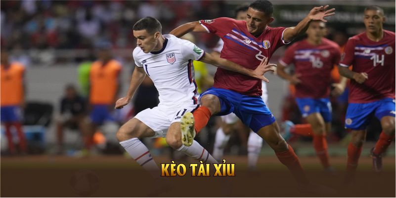 kèo tài xỉu