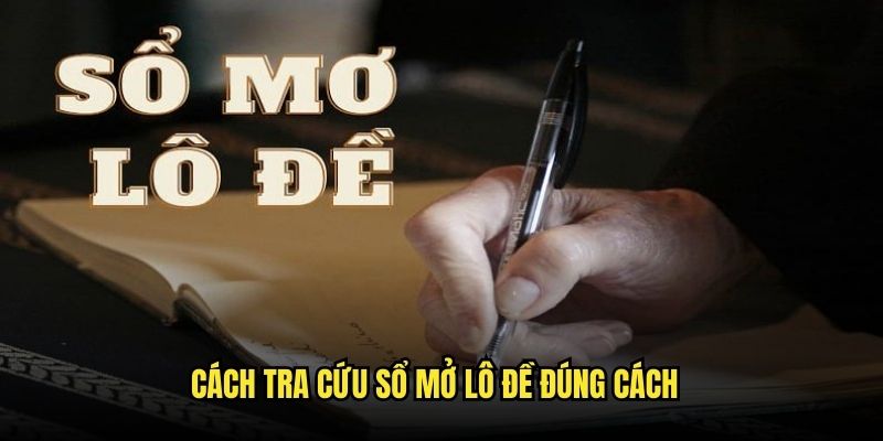 Hướng dẫn chi tiết cách tra cứu dựa vào cẩm nang 